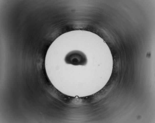 X0000103440227200810241129