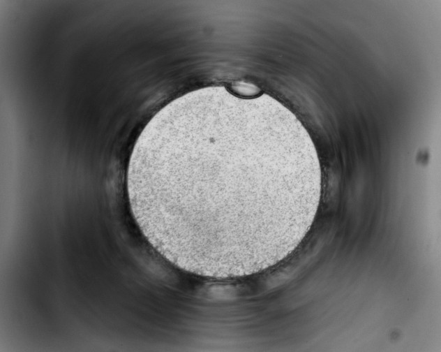 X0000103440228200810241129