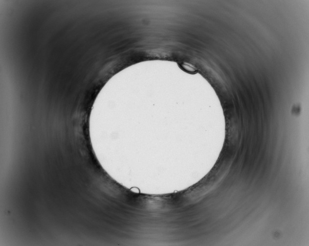 X0000103440229200810241129