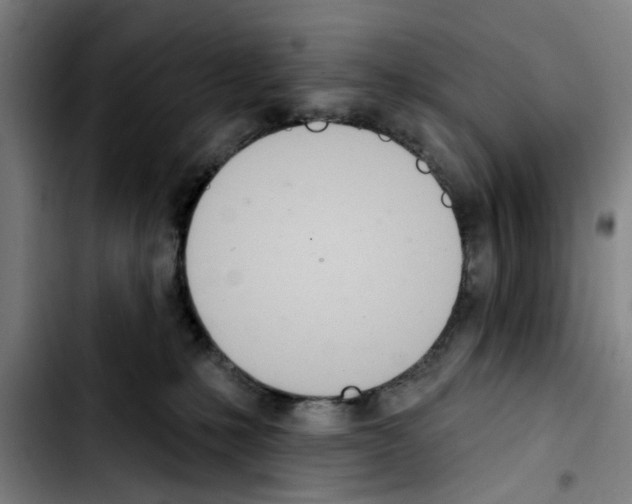 X0000103440231200810241129
