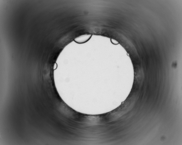 X0000103440233200810241129