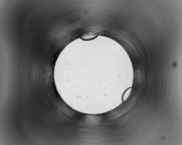 X0000103440234200810241129