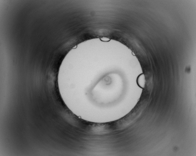 X0000103440235200810241129