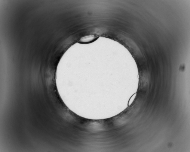 X0000103440236200810241129