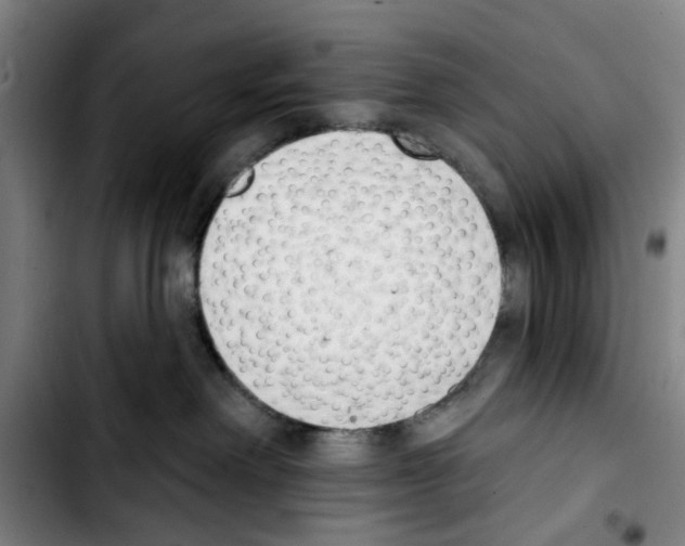 X0000103440238200810241129