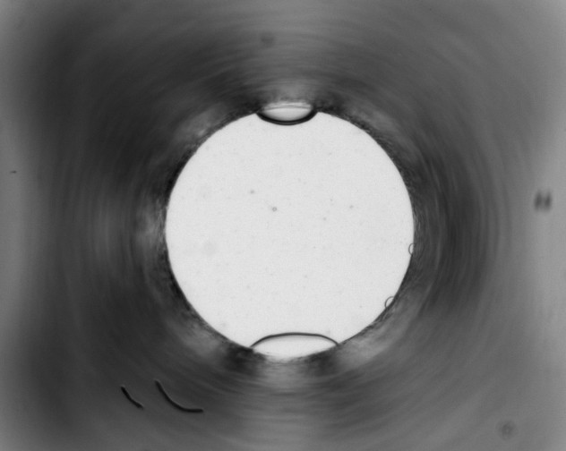 X0000103440240200810241129