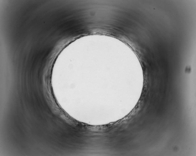 X0000103440241200810241128
