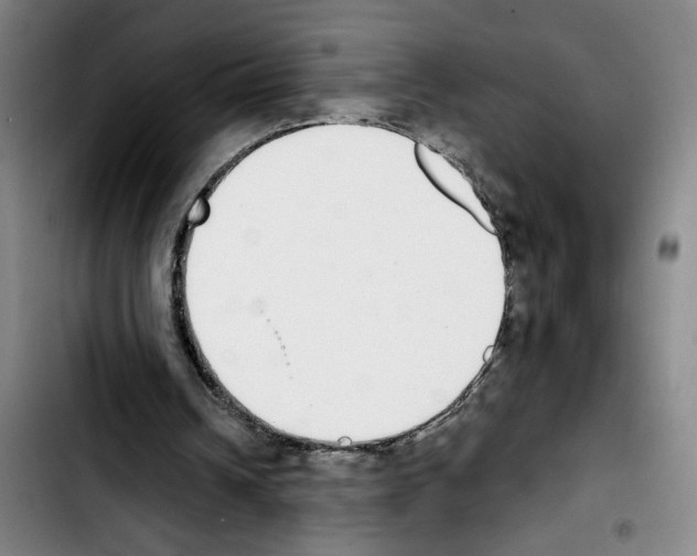 X0000103440242200810241128