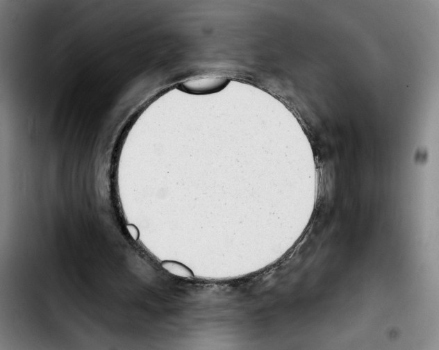 X0000103440243200810241128