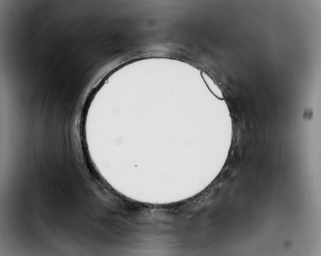 X0000103440244200810241128
