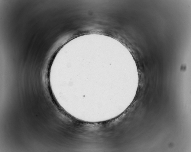 X0000103440245200810241128