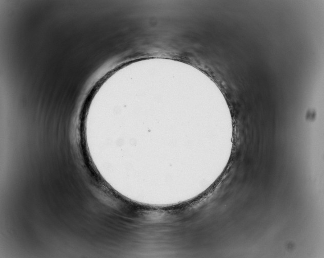 X0000103440246200810241128
