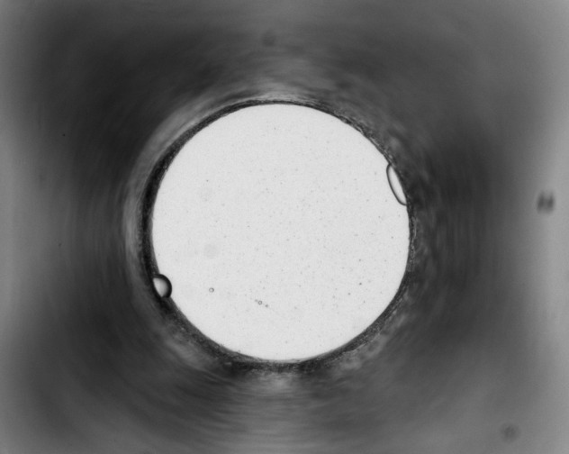 X0000103440247200810241128