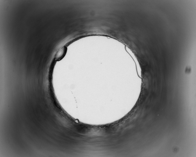 X0000103440248200810241128