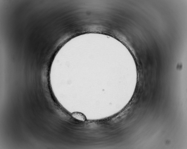 X0000103440249200810241128