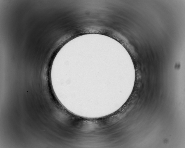X0000103440250200810241128