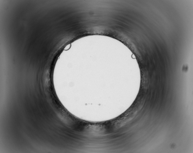X0000103440251200810241128