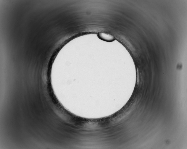 X0000103440252200810241128