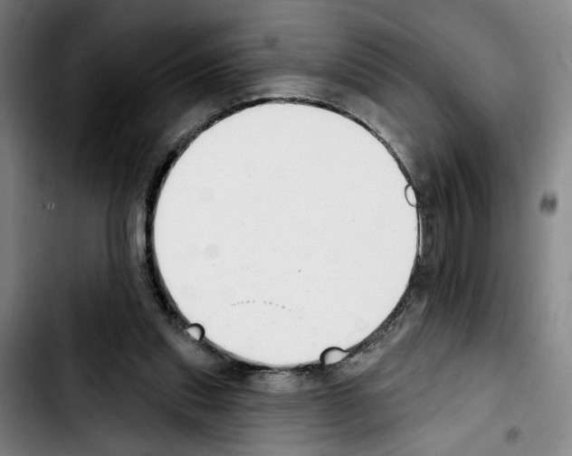 X0000103440253200810241128
