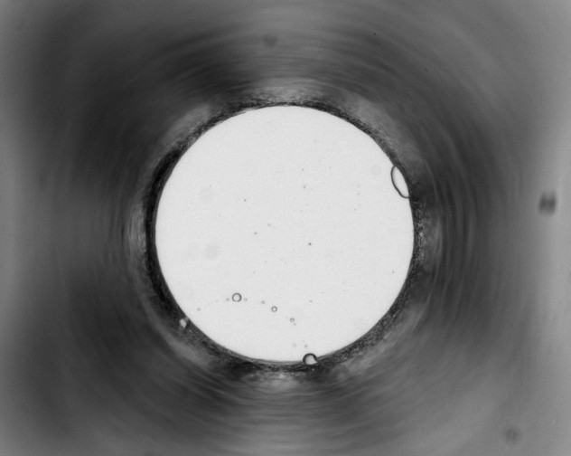 X0000103440254200810241128