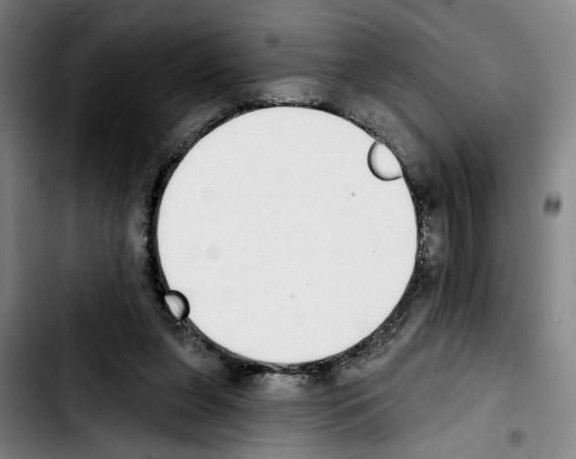 X0000103440255200810241128