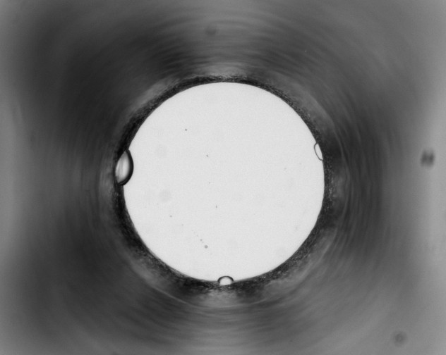 X0000103440256200810241128