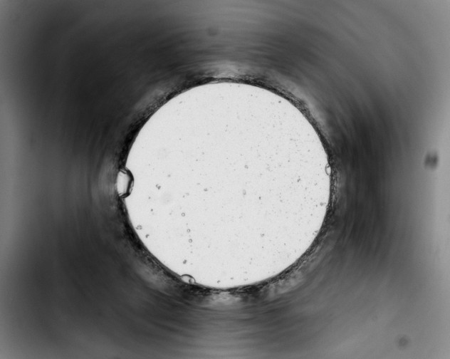 X0000103440257200810241128