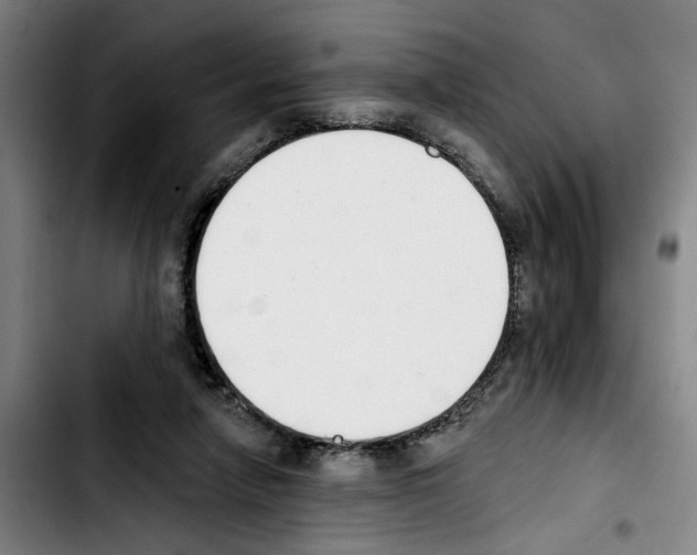 X0000103440258200810241128