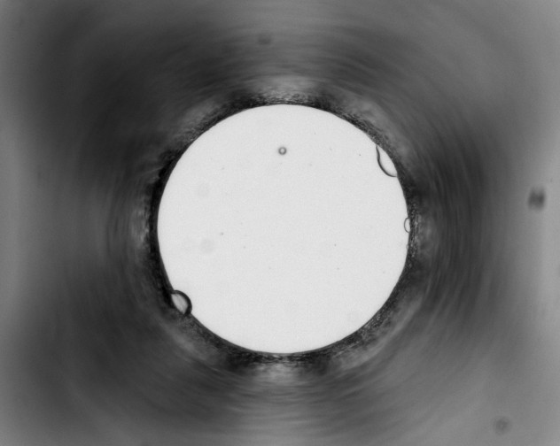 X0000103440259200810241128