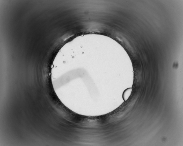 X0000103440260200810241128