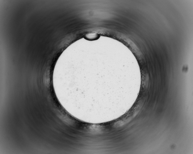 X0000103440261200810241128