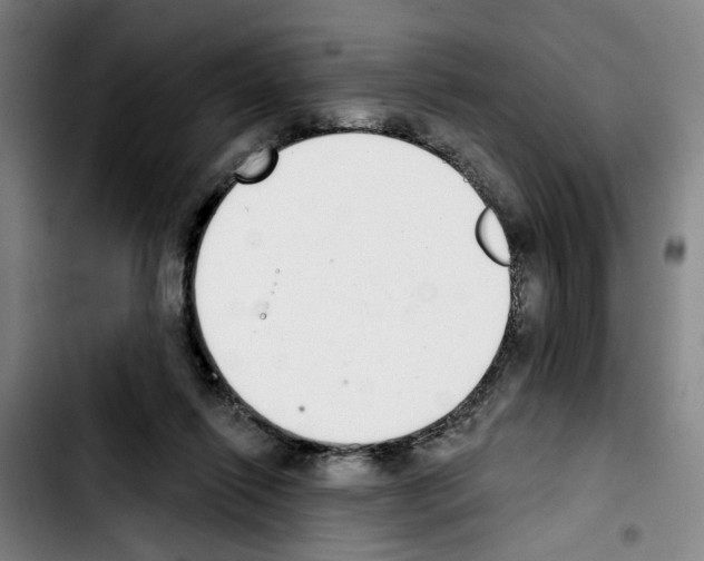 X0000103440262200810241128