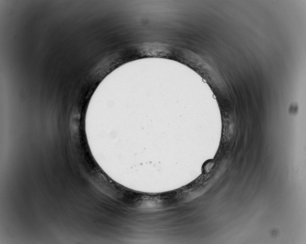 X0000103440263200810241128