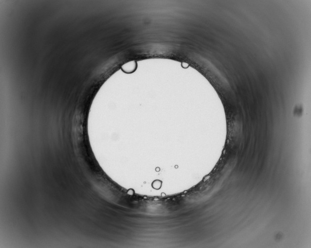 X0000103440264200810241128