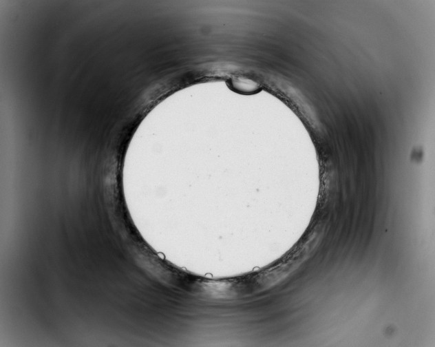 X0000103440265200810241128
