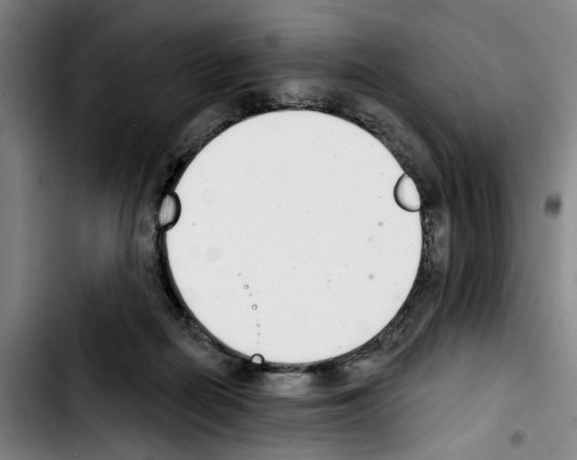 X0000103440266200810241128