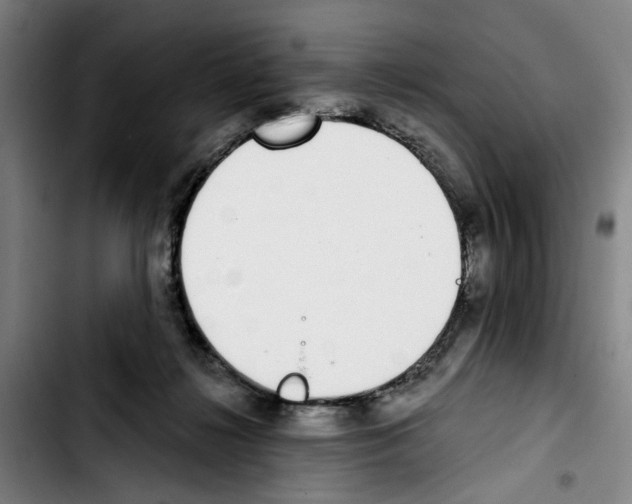 X0000103440268200810241128