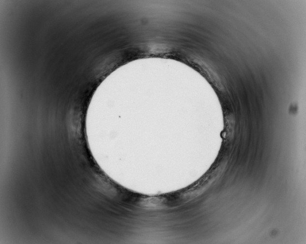 X0000103440269200810241128