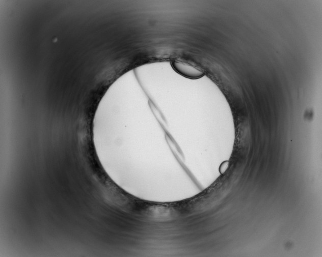X0000103440272200810241128