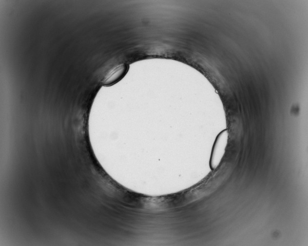X0000103440273200810241128