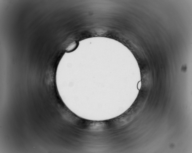 X0000103440274200810241128