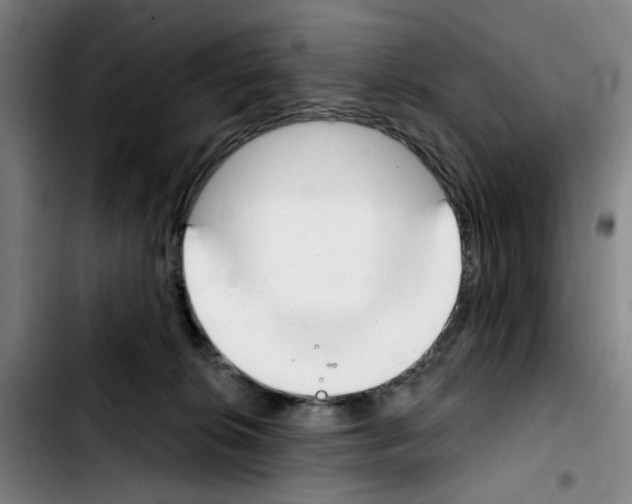 X0000103440276200810241128
