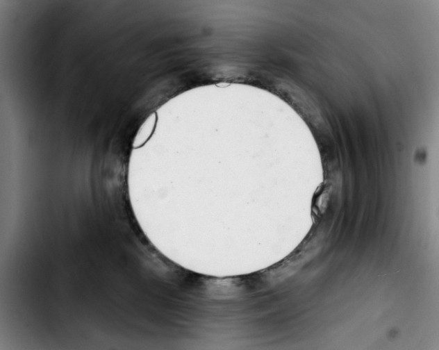 X0000103440281200810241128