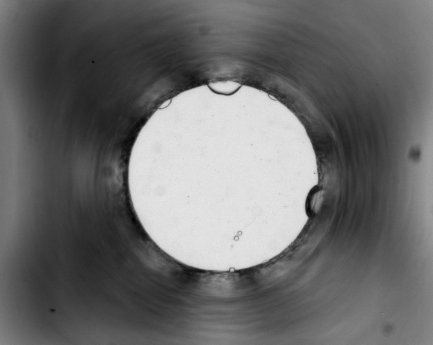 X0000103440282200810241128