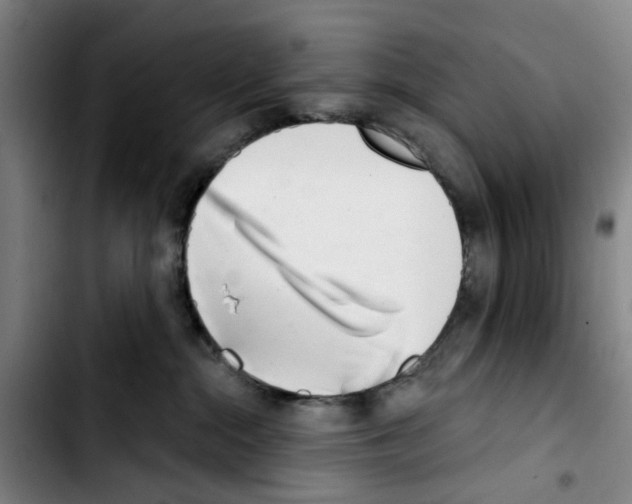 X0000103440284200810241128