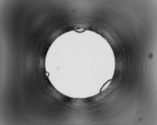 X0000103440285200810241128