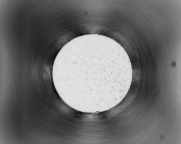 X0000103440286200810241129