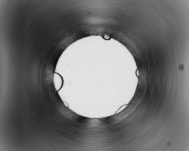 X0000103440287200810241129