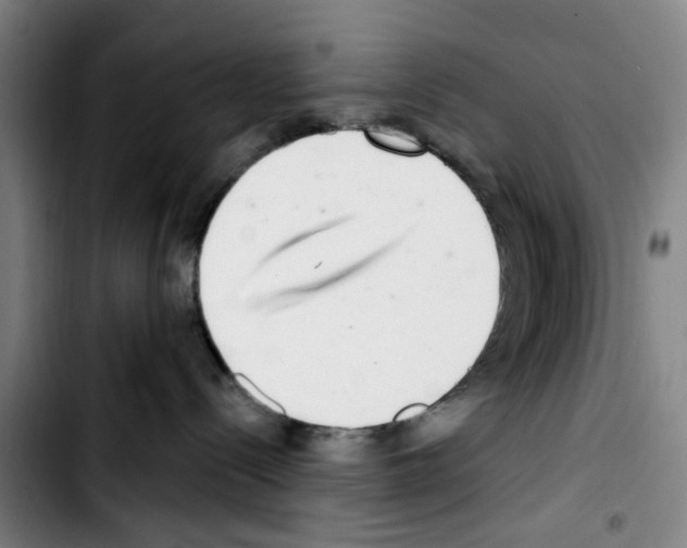 X0000103440288200810241129