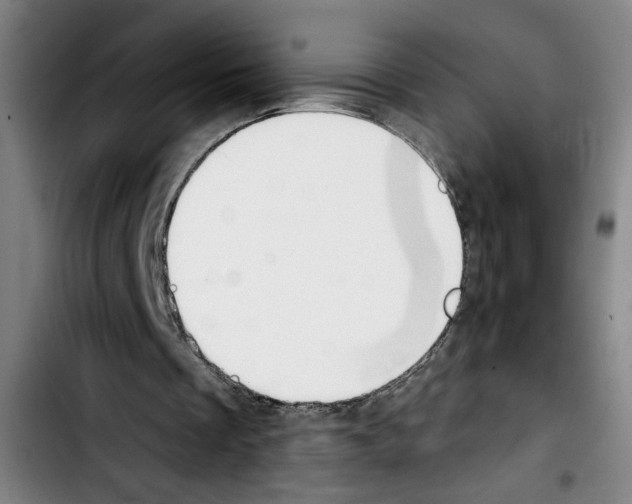X0000103440289200810241128